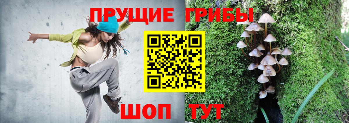 Галлюциногенные грибы Magic Shrooms  Вход с VPN  Киселёвск 
